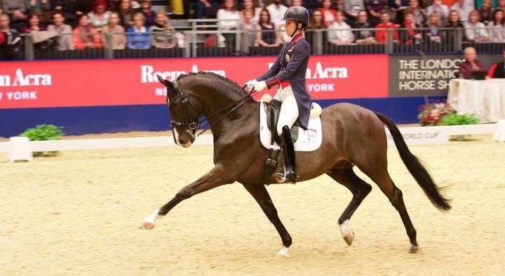 Partiamo Da Zero L Evento Sportivo In Onda Sul Web