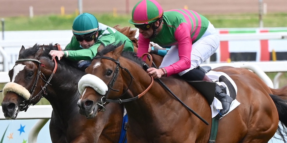 Derby Galoppo Senza Contraccolpi